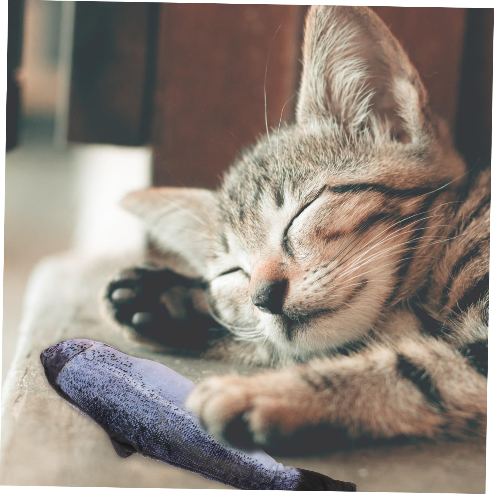 Sosoport 3stücke USB Wiederaufladbares Elektrisches Katzenspielzeug Springende Fischsimulation Für Katzen Interaktives Spielzeug Spieltrieb Und Aktivität Für Wohnungskatzen