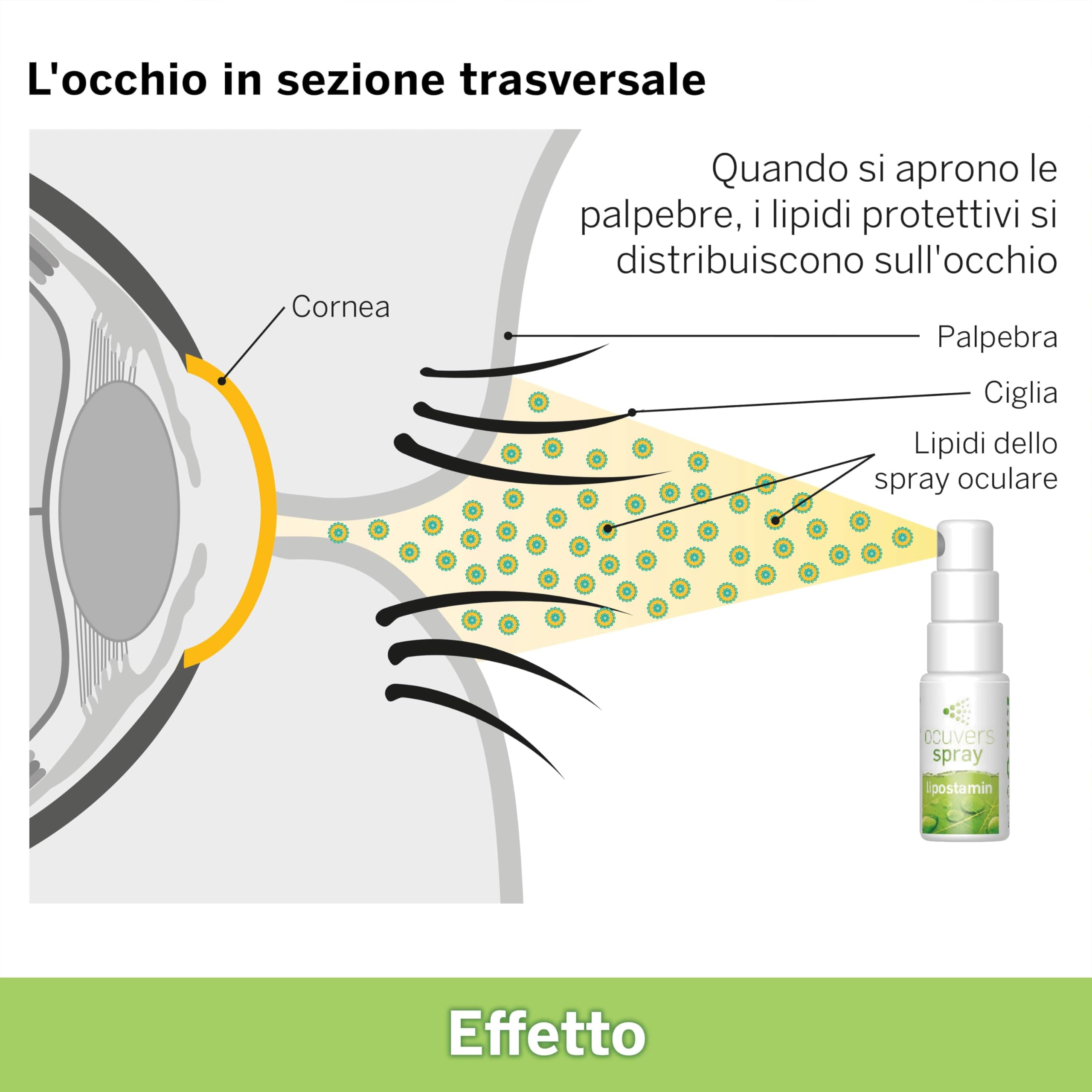 Ocuvers Lipostamin Spray Oculare – con Eufrasia – 15 ml spray oculare contro occhi arrossati, senza conservanti, adatto anche in caso di allergie. L'alternativa al collirio.