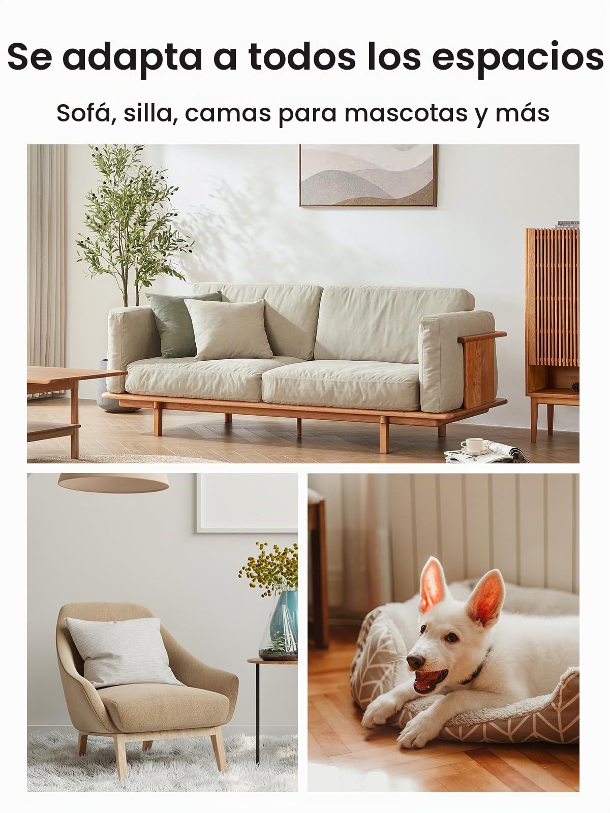 Cojines para asiento de sofá de 60 x 60 x 5 cm, 6 unidades, inserto de cojín, cojín de repuesto para asiento de sofá, cojín elevador de silla para adultos, para sofá de esquina, sofá cama, s