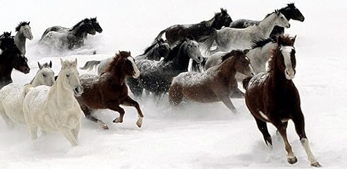 Corridas de cavalos: crianças quebra-cabeça