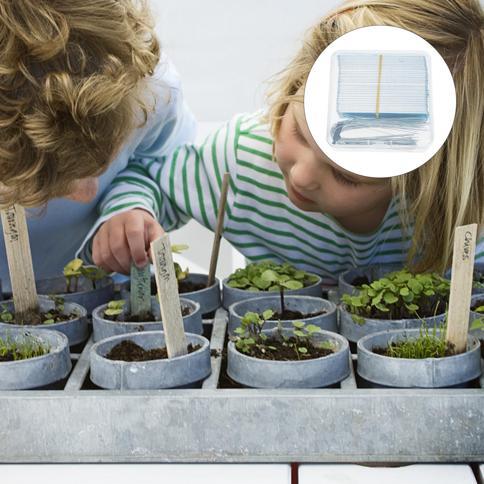 BESPORTBLE Aluminium Pflanzenschilder Satz Wasserfest Langlebig für Garten Pflanzennamensschilder Blumentopf Pflanzenstecker