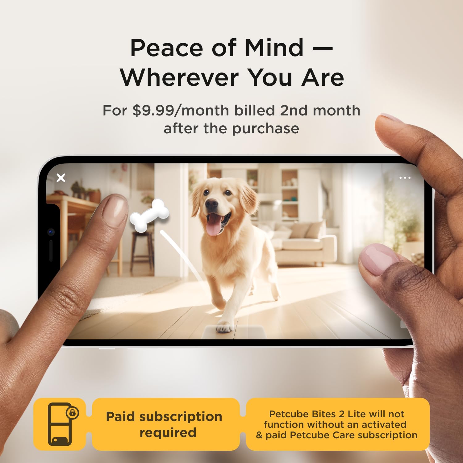 Petcube Bites 2 Lite And Care Coverage Subscription