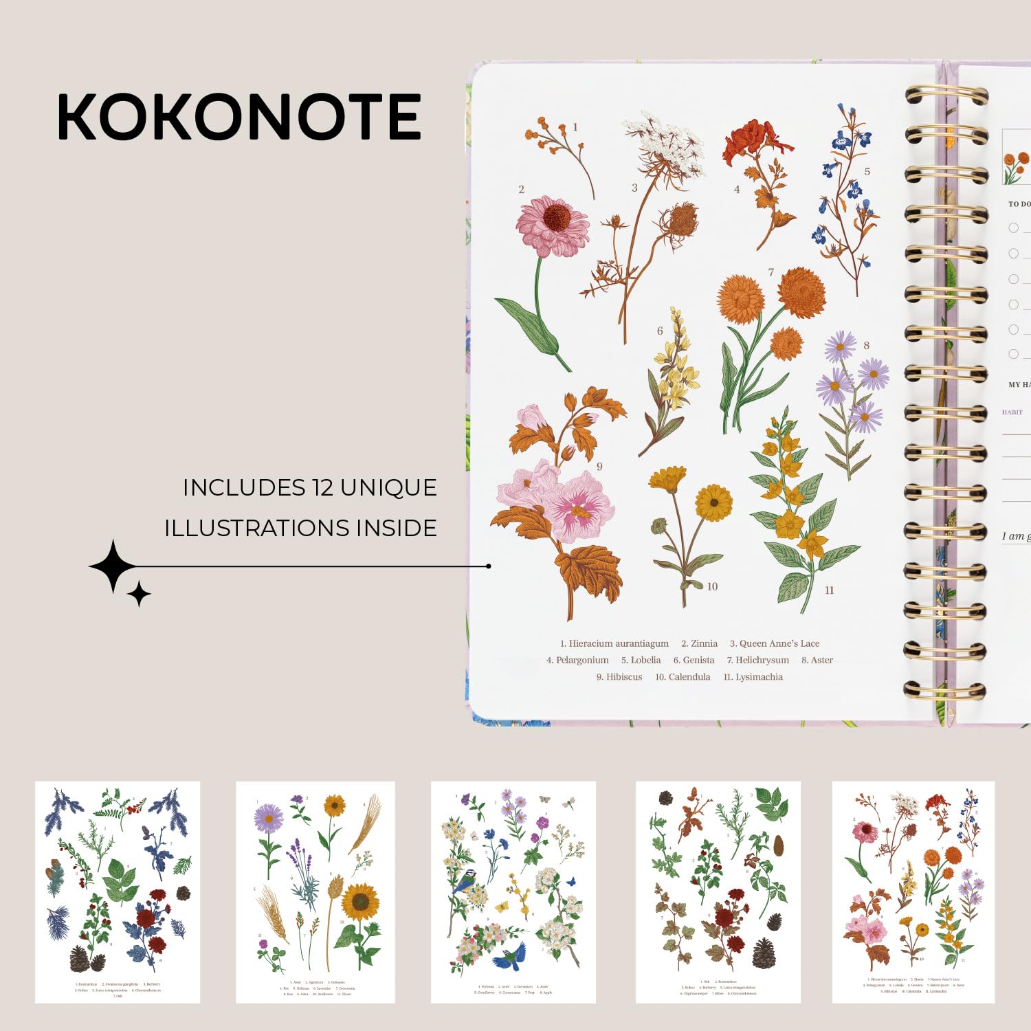 Kokonote A5 Academic Diary 2025-2026 Week To View - Seasonal Flowers | Academic Planner 2025-2026 With Stickers, Student Essentials For University, Back To School Supplies