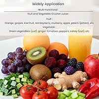 Vista 6 de 220V 3PH Commerical Frutas y Vegetales Juicer 0.5T/H Extractor de jugo de fruta de acero inoxidable Máquina Extractor Industrial Automático Espiral