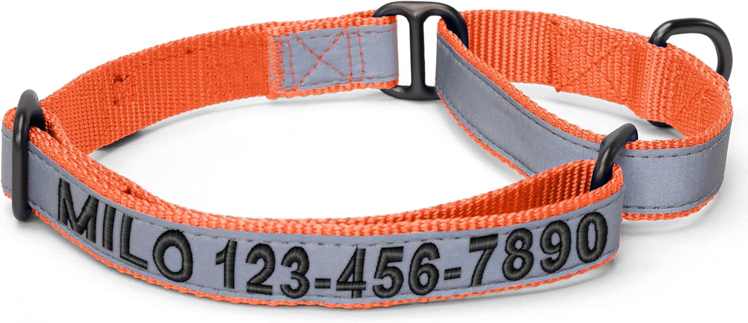 Pawtitas Customized Martingale Dog Collar Reflective Reflective Dog Collar Embroidered Personalized Name Phone Number Adjustable for Puppies Small Medium Large Size Dogs Large Orange