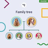 Vista 6 de Prueba de ADN para perros Starter - (Informes de razas y rasgos) - Actualizaciones sin costo