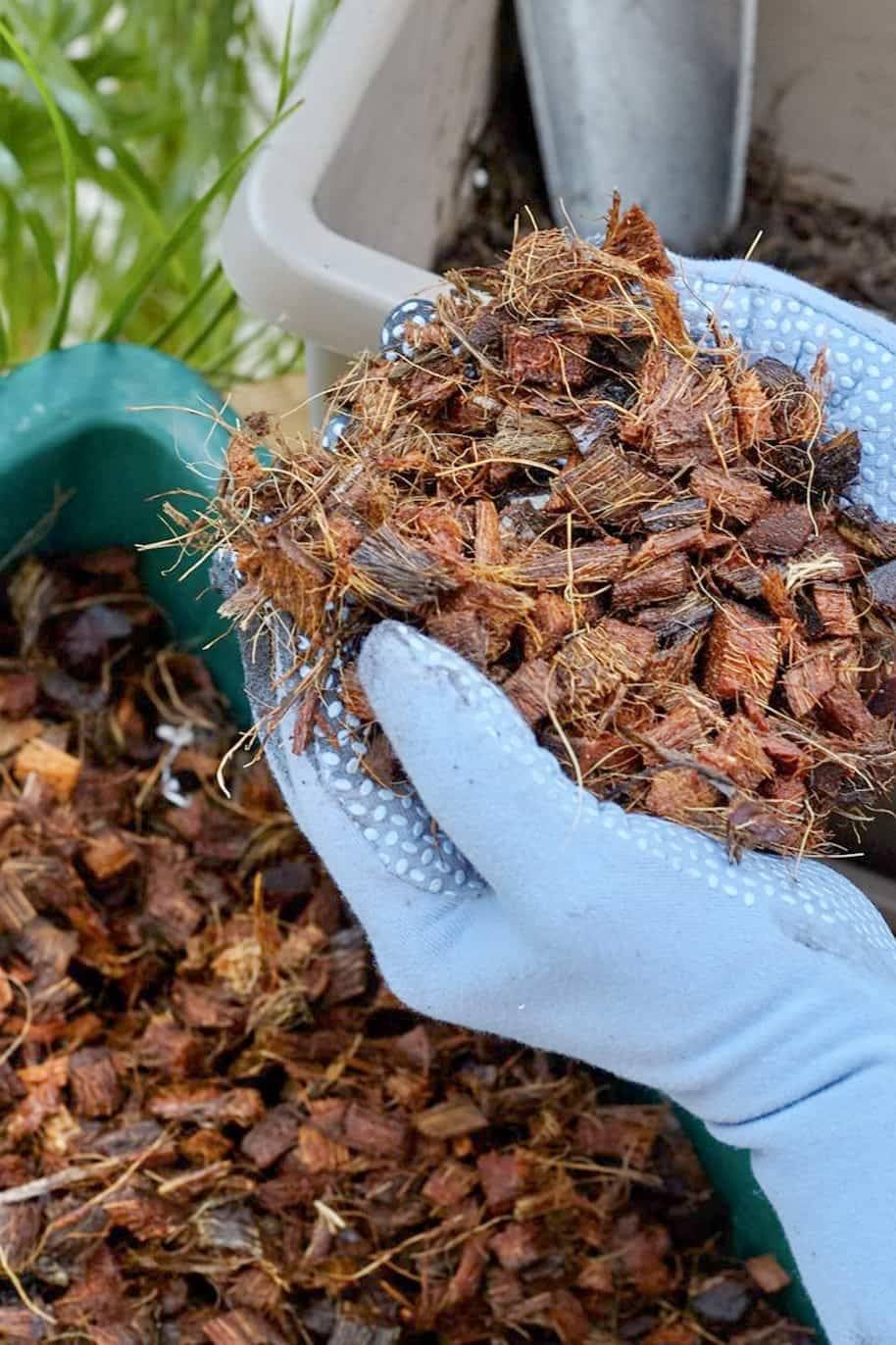 GenericCoco Chip Husk 500 Gm Pack