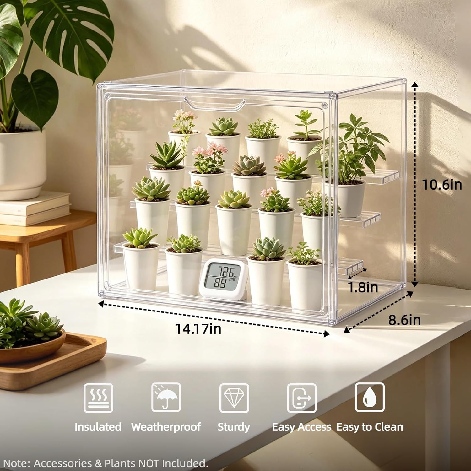 Clear Mini Greenhouse Indoor, Small Portable Tabletop Green House with Magnetic Door for Seed Starting, Plant Grow Warmer and Home Gardening Display image 2