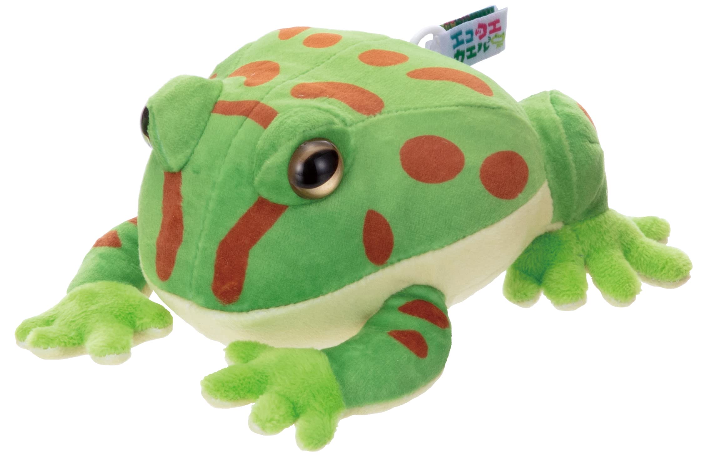 Amazon.co.jp: イワヤ(IWAYA) エココエカエル(ベルツノガエル