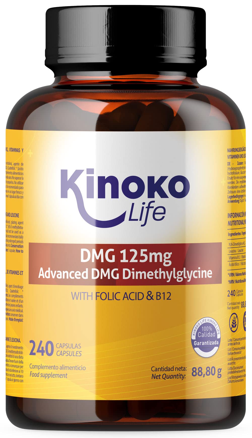 DMG Advanced 125 mg, 240 capsule Dimetilglicina pura. Con Acido Folico e B12 per un migliore assorbimento del DMG. Senza Glutine, Non OGM, Vegan Friendly. Memoria, Stress, Concentrazione