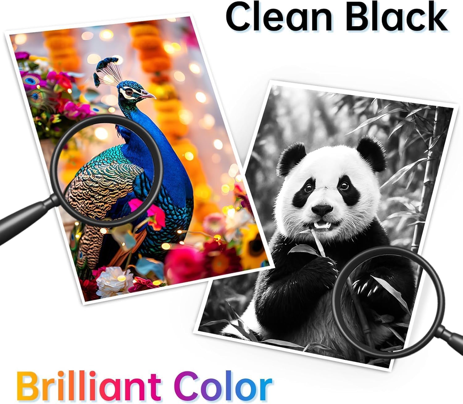 962XL Ink Cartridges for HP 962 962XL Ink Cartridge Combo Pack and HP OfficeJet Pro 9010 9020 Series 9015e 9010 9025e 9015 9025 9018e 9025e 9020 Printer (4 Pack)