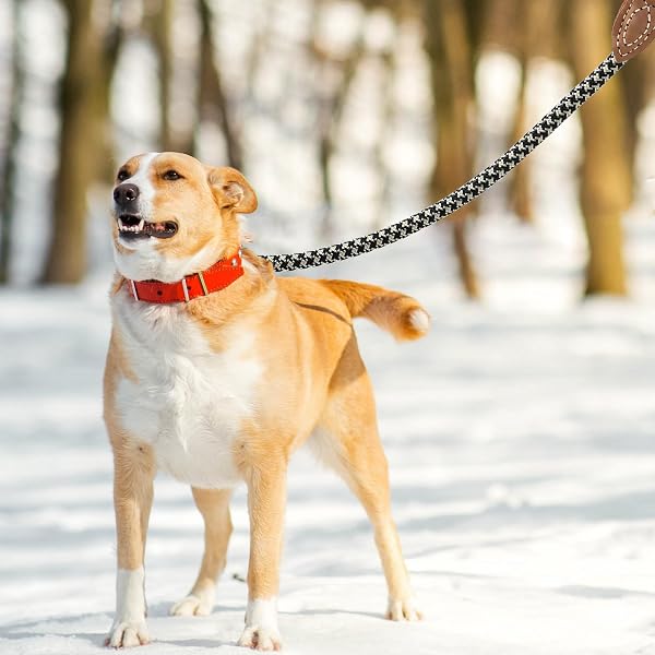 Mile High Life | Laisse pour Chien d'escalade avec Fermoir Robuste en métal Robuste | Connexion sur Mesure en Cuir véritable avec Coutures Solides (Noir Kaki, 1.2 M) - 5