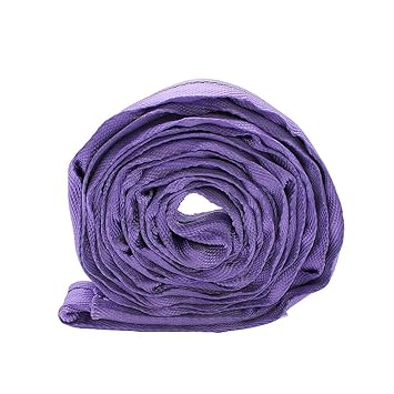 Indusafe 6FT Endless Round Slings, 1? Spanset Round Slings, Polyester Endless Loop Lifting Straps, 2600lbs Vertical Capacity, Heavy Duty Rigging Strap for Lifting and Towing (Purple)