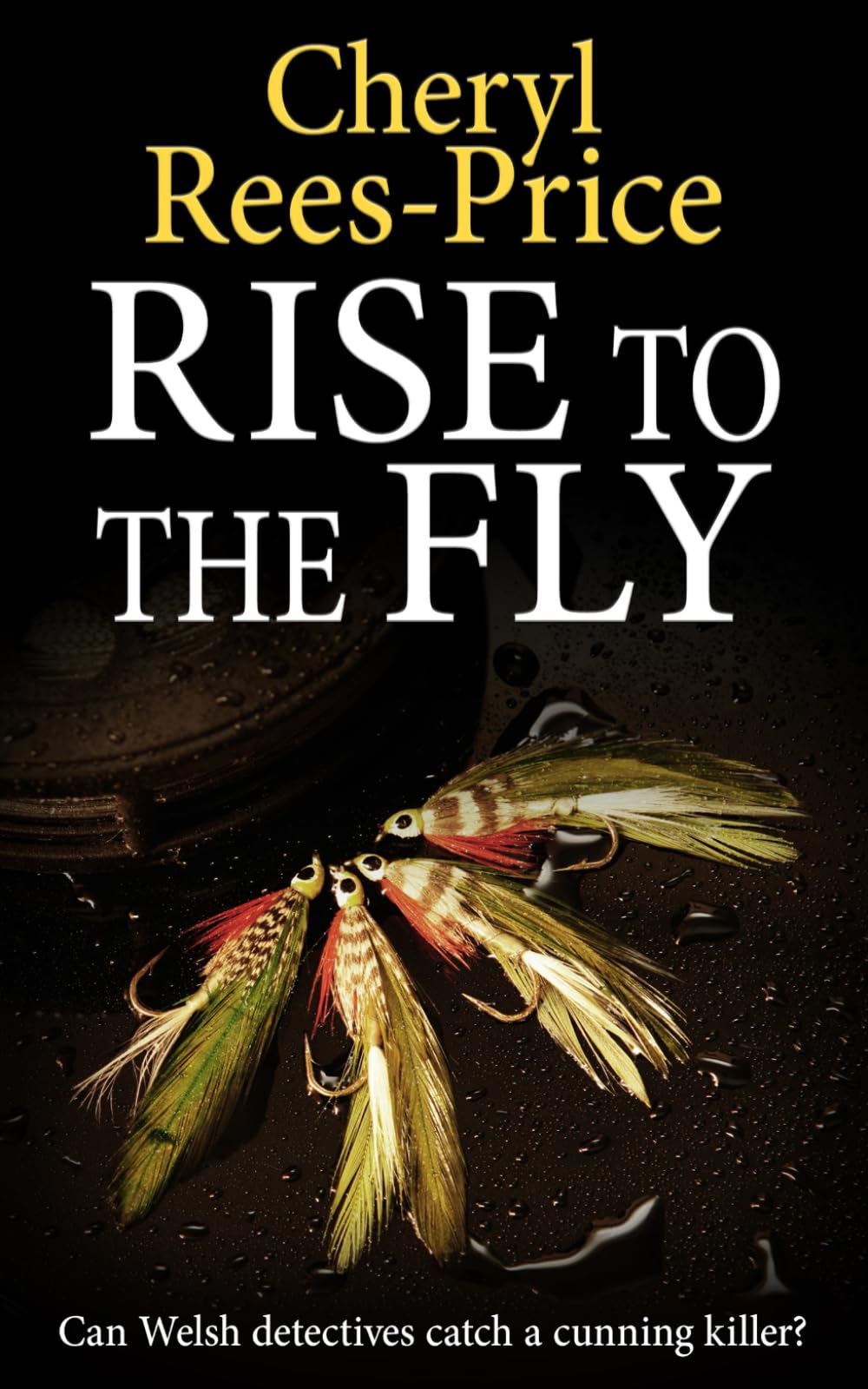 Rise to the Fly: Can Welsh detectives catch a cunning killer?: 6 (DI Winter Meadows)