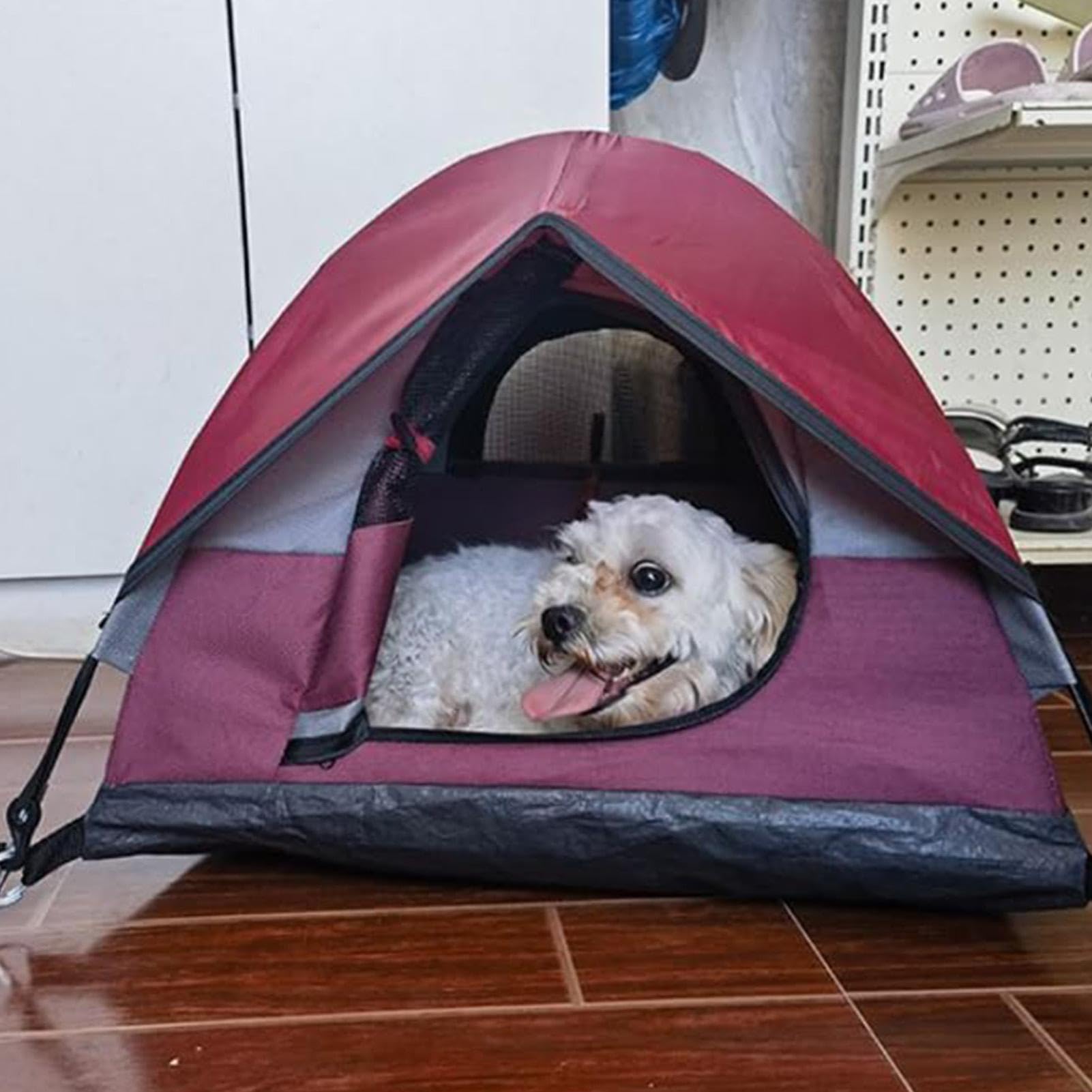 Generico Tenda per gatti, Tenda per gatti da per all'aperto per | Tenda per gatti impermeabile Tenda per animali domestici da esterno per cuccioli, cani, animali di piccola taglia