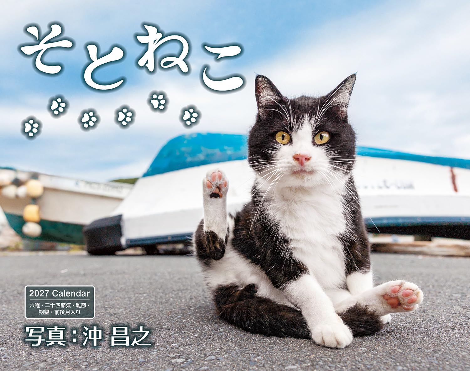通常版】そとねこ（月めくり/壁掛け/600mm×380mm） (インプレス