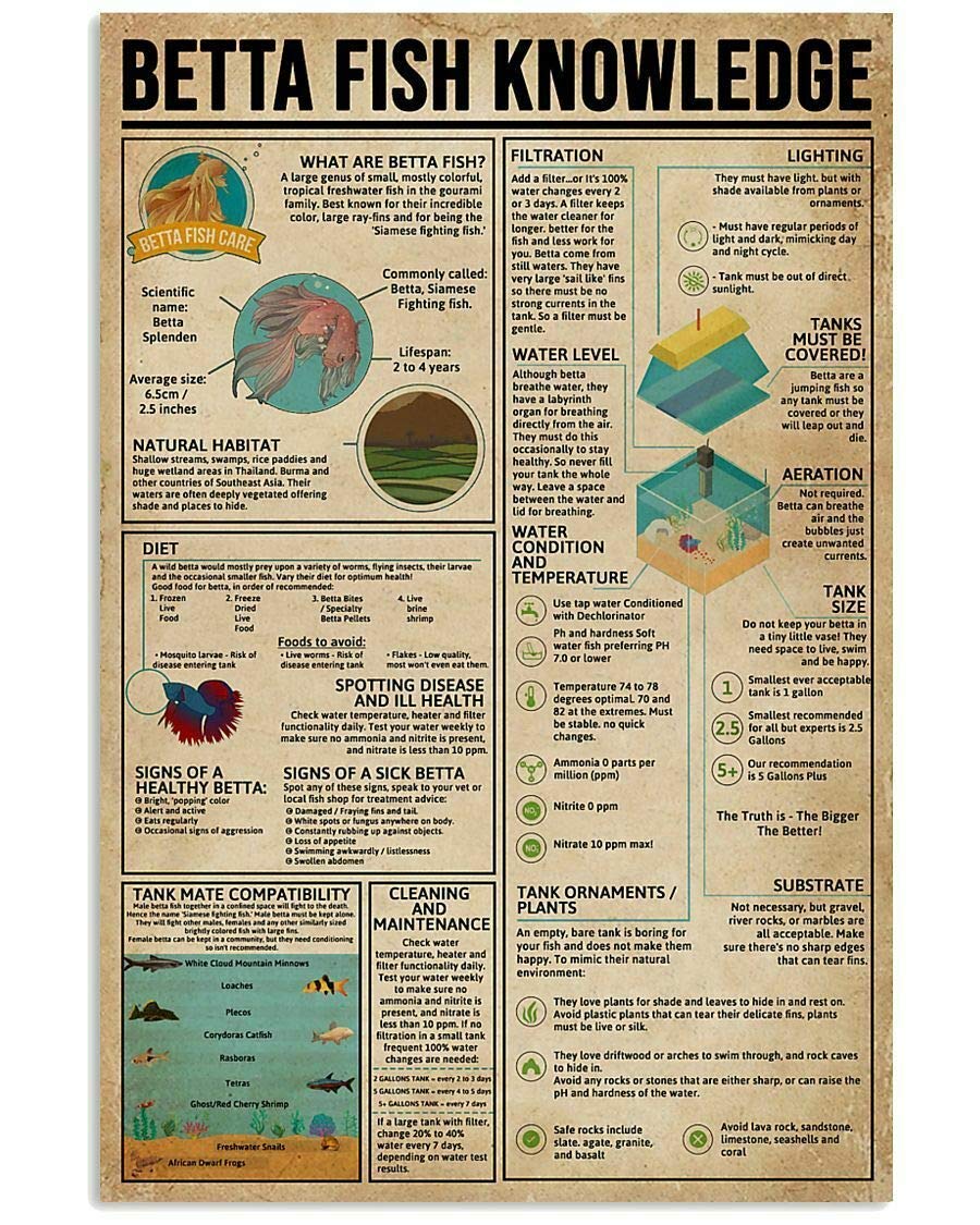 peiyeety Betta Fish Knowledge Metal Signs Retro Club Decor Fish Enthusiasts Guide Posters Room Home Wall Decor Printed Plaque 8"x12"