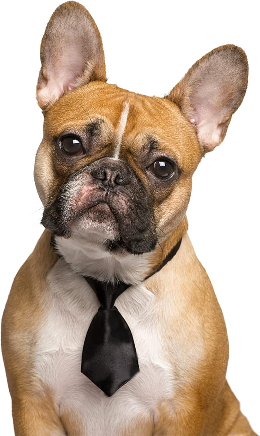 Dog Ties - 20 PCS Birthday Gift Adjustable Pet Neck Ties for Boys Girls Dog Puppy Cats Party Weddings Christmas Valentine's Day Holiday Festival Photography Grooming Accessories(Medium)