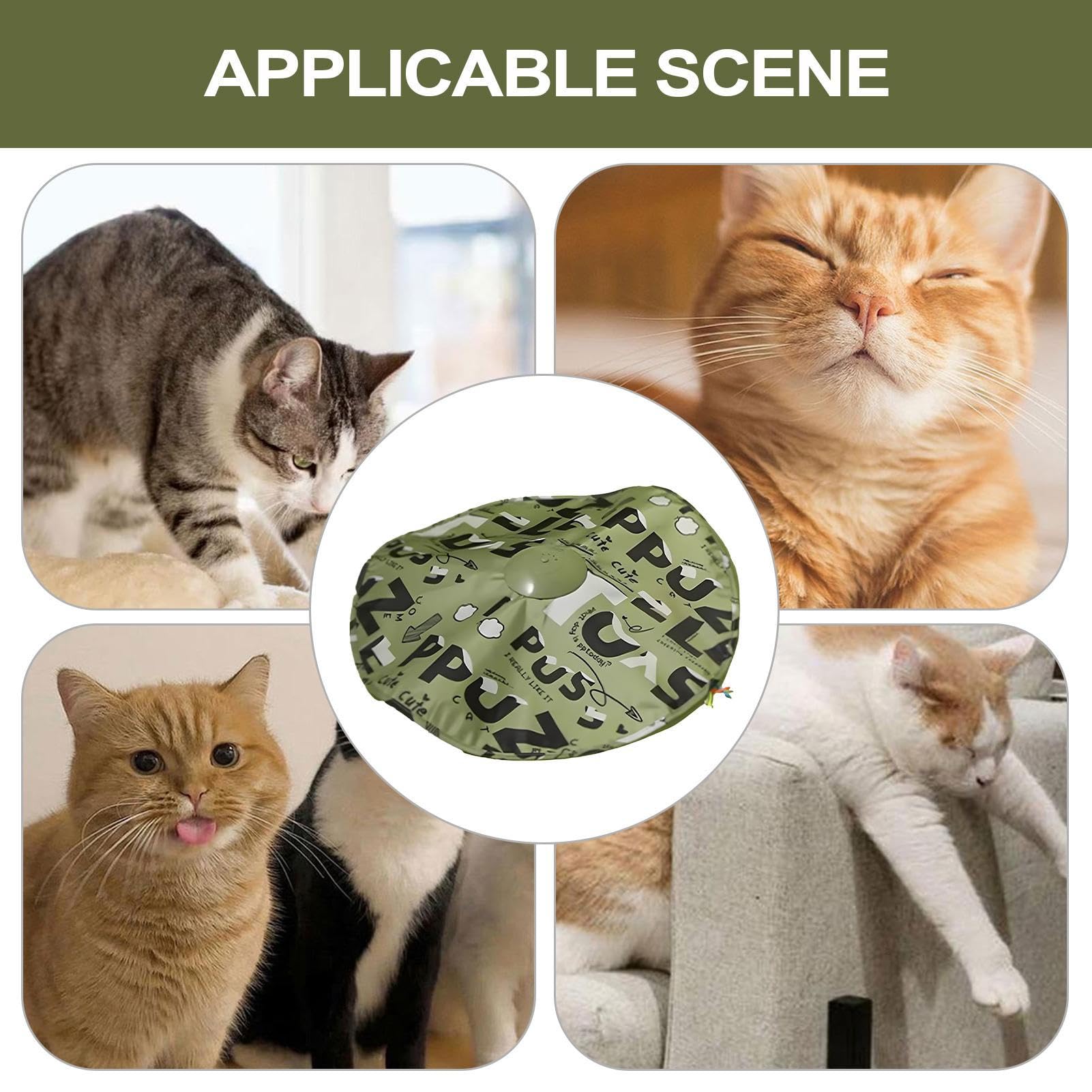 Interaktives Katzenspielzeug Interaktive Katzenbeschäftigung Kätzchenspiel | Katzen Beschäftigung Zum Kratzen, , Jagen, Necken, Beschäftigen, Stimulieren, Unterhalten