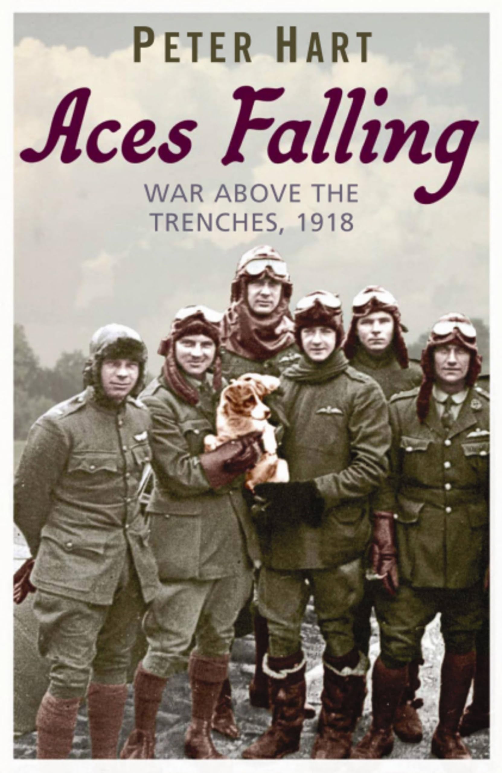 Aces Falling: War Above The Trenches, 1918