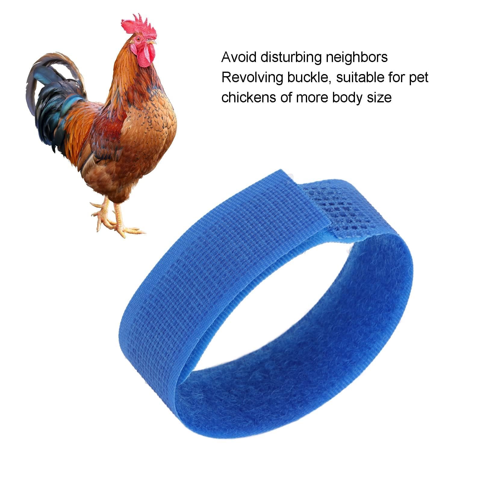 Agatige 10 Collier de Coq Réglable pour Poules, Anti-Crochets et Anti-Bruit, Bleu