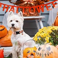 Vista 114 de Aring Pet Collar de algodón, ligero y ajustable, con hebilla de liberación rápida para perros pequeños, medianos y grandes, para cachorros, XS