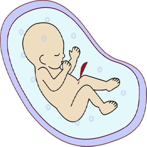 iPregnancy And Baby Guide App - Great App for Pregnancy