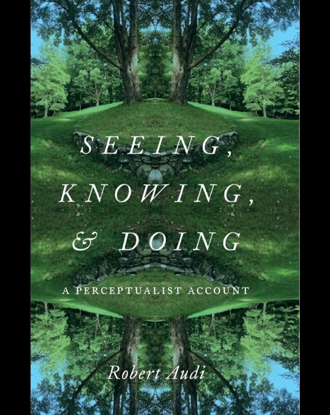 Buy Seeing, Knowing, and Doing: A Perceptualist Account — BookShops.in
