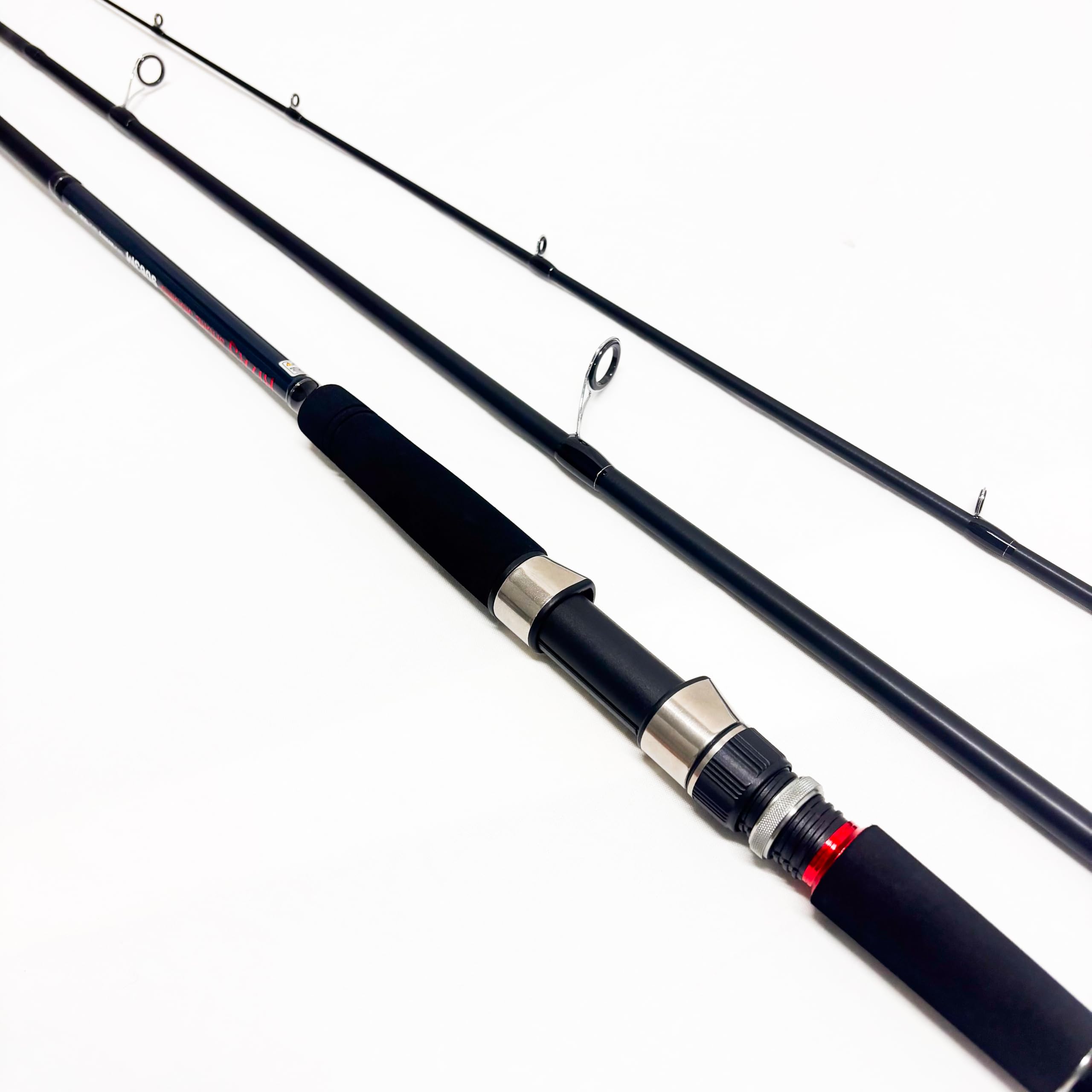Amazon | RIZAS(ライザス) ショアジギングロッド SHORE JIGGING 各種