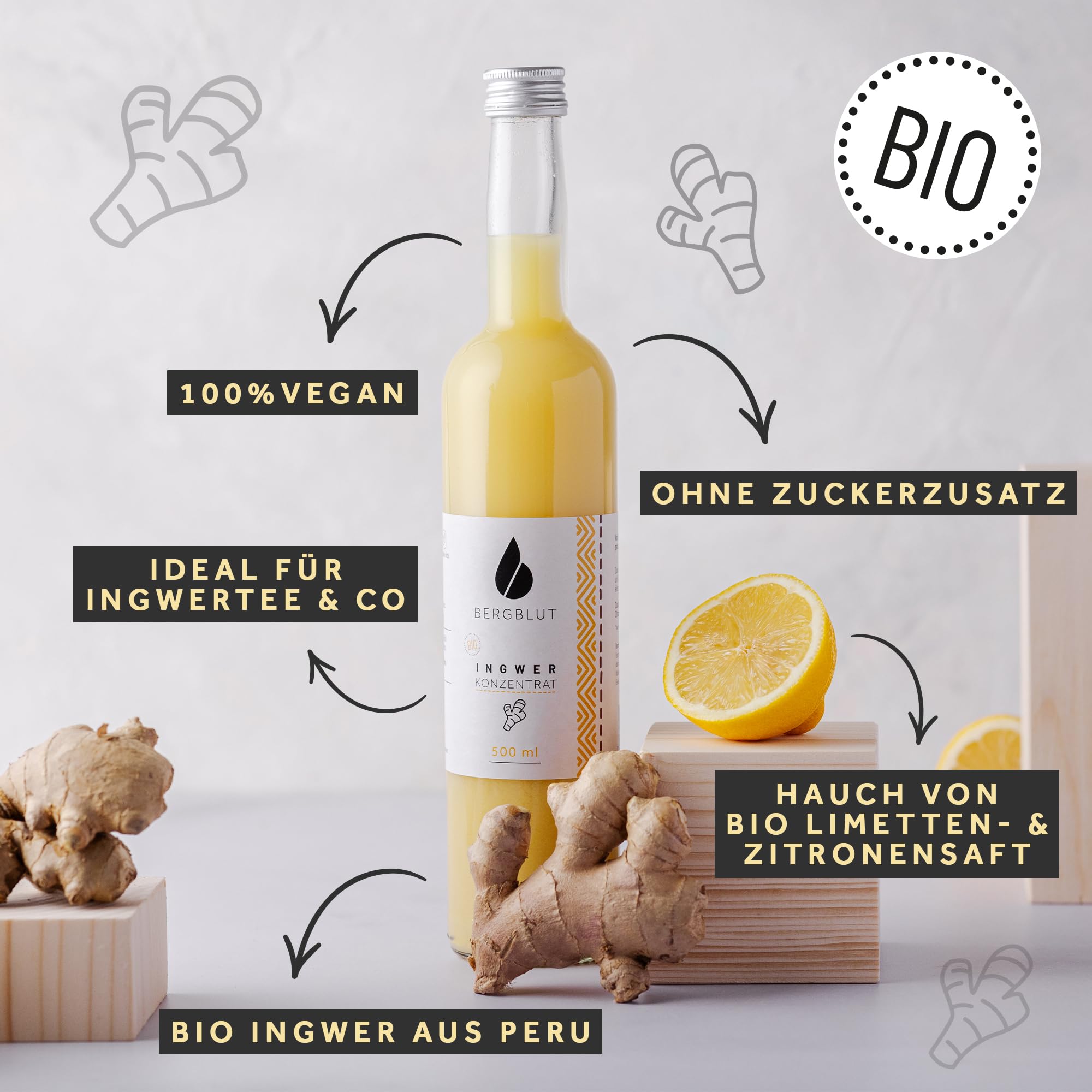 Bergblut Bio Ingwer Konzentrat – 500 ml Ingwerkonzentrat ohne Stücke mit Bio Zitronen & Limettensaft | Geeignet als scharfe Würze, Limonade & Ingwer Shot | Vegan & ohne Zucker oder Zusätze
