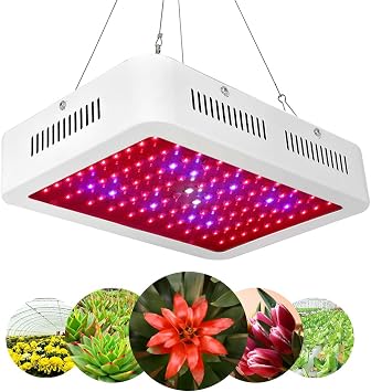 LED Grow Light for Indoor Plants Growing Lamp 600W Dual Chips 380-730nm Plant Lights Bulb Panel Hanging Kit for Seedling Hydroponics Greenhouse Veg and Flower Full Light Spectrum