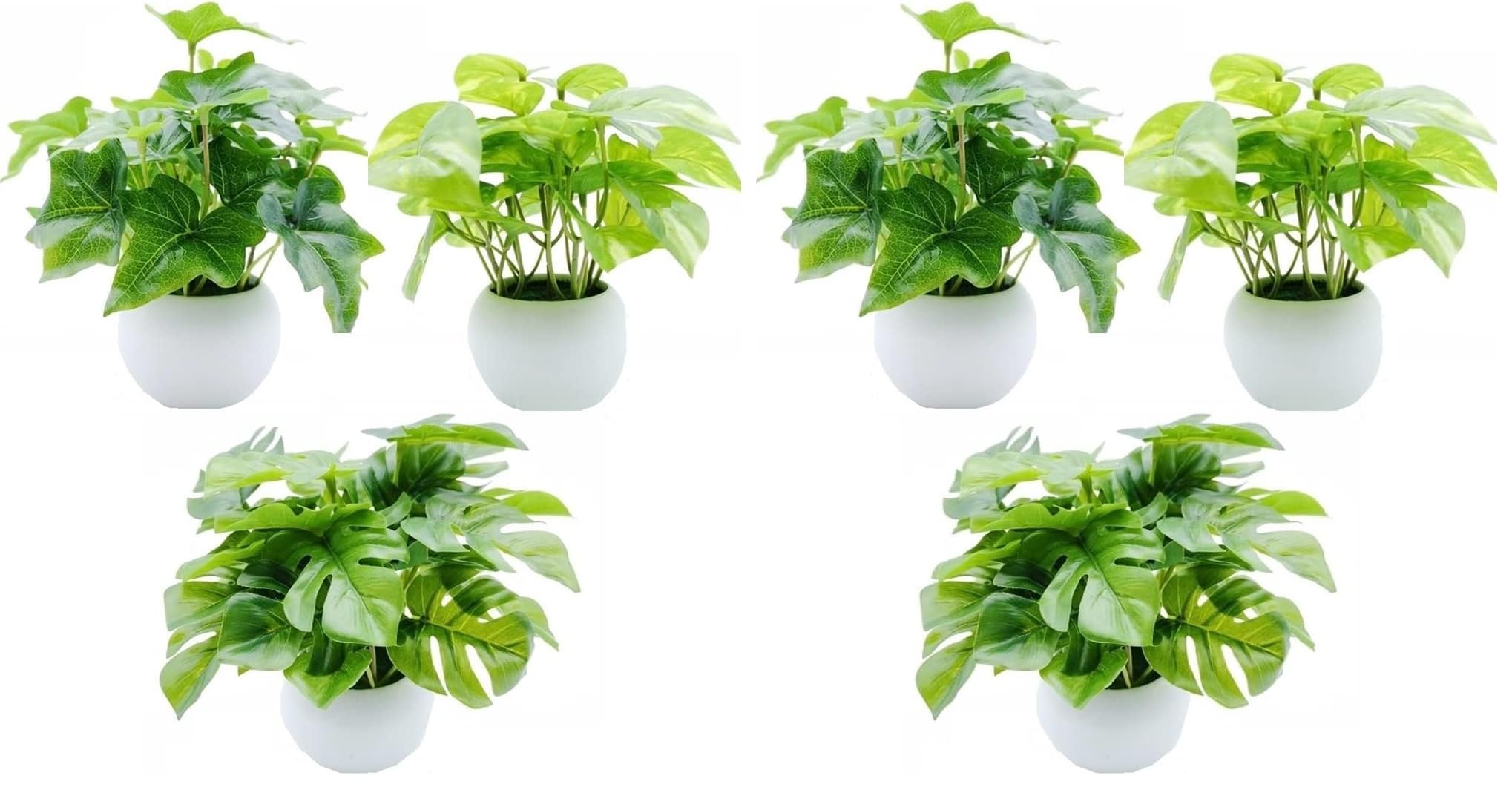 Amazon｜MedianField 【 観葉植物 光触媒 ミニ 鉢植え 3個 セット