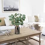 DILATATA Artificial Eucalyptus Stems in Glass Vase with Faux Water, 14" Fake Plant Eucalyptus Leaves for Home Office Farmhouse Wedding Centerpiece Décor