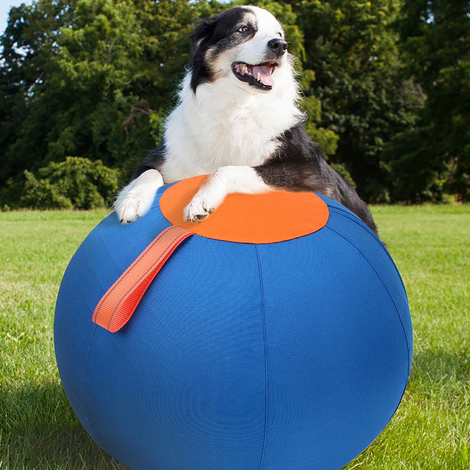 Esfera de juego de pastores para perros para diversión al aire libre con razas como pastores y collies, juguete interactivo para perros