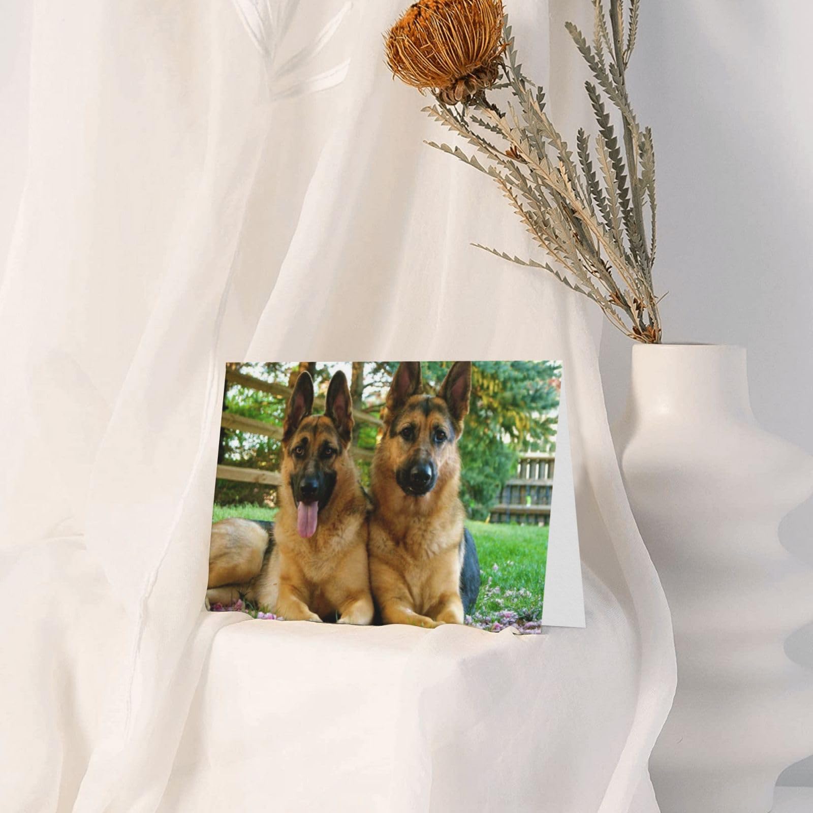 KiTa-Hunde-Führerschein - Gruppenset — Lese-Lern-Hund, image size:1600x1600