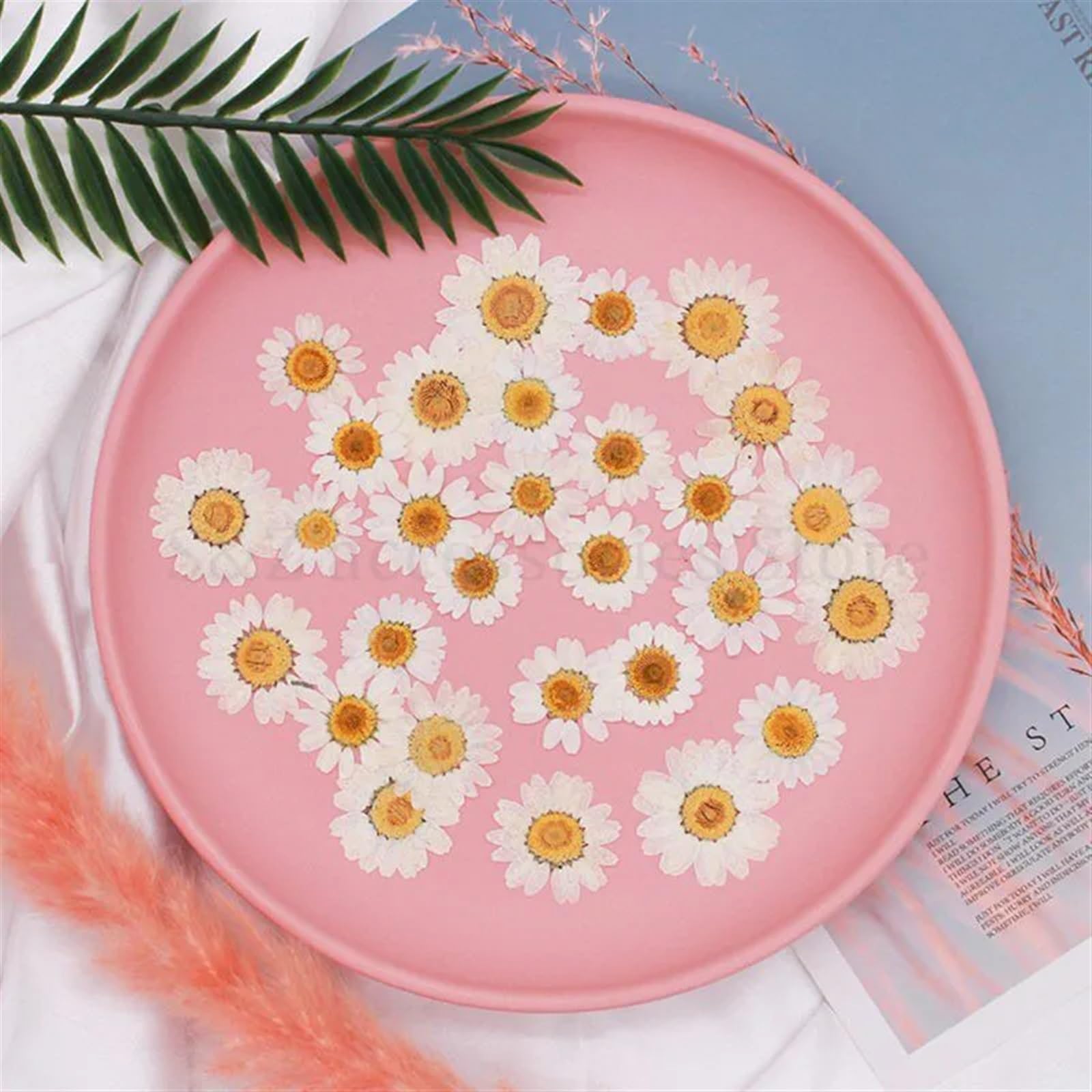 Bouquet Fleurs SéChéEs Lot de 100 Fleurs pressées séchées Naturelles à Faire soi-même, Marguerite Blanche, for Bijoux en résine, Autocollants for Ongles, Maquillage, Artisanat