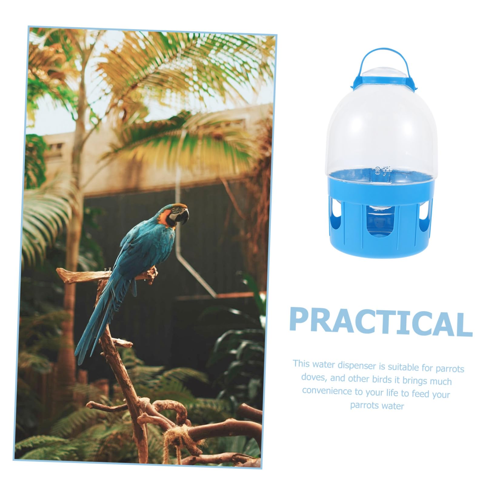 Mangiatoia per Piccioni Bevitore D’acqua Trasparente 8l, Abbeveratoio Professionale in Plastica Scala di Capacità, per Allevamento e Cura Uccelli Domestici Colore Casuale