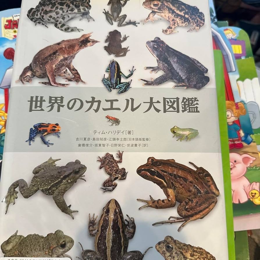 Amazon.co.jp: 世界のカエル大図鑑 10000 : おもちゃ