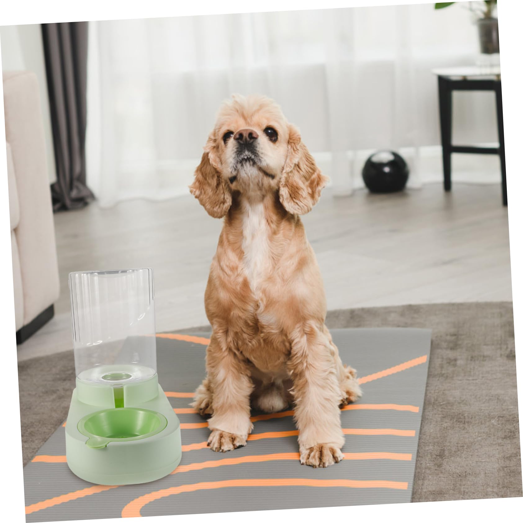 iplusmile Distributore per Animali Domestici da per e Media Erogatore e Sicuro e Pet Facile da per Stili Occupati