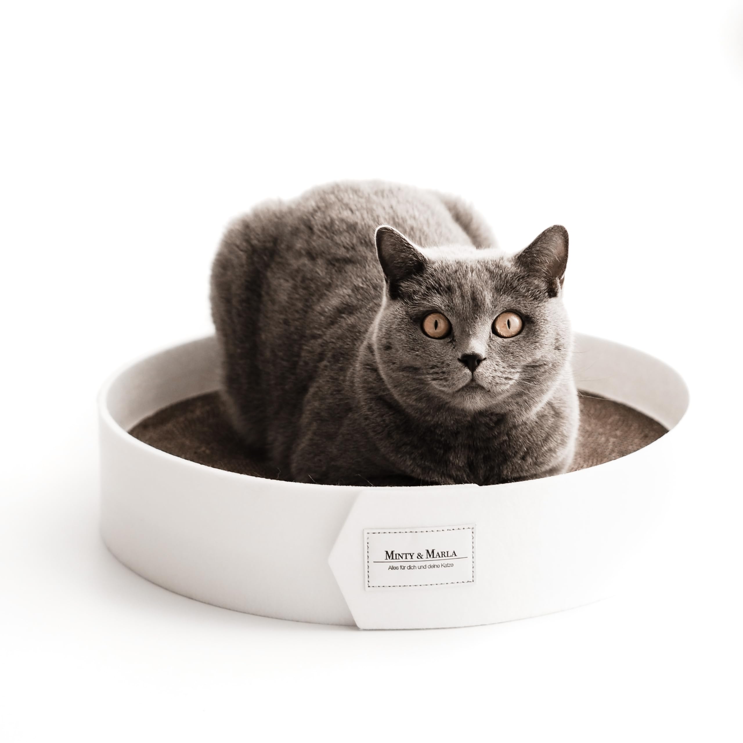 Minty&Marla® | Kratzbrett inkl. Katzenminze | Kratzmöbel für Katzen | Kratzpappe | Stylisches Kratzboard Katze | Katzenbett für Katzen mit Filzrand | Schlafplatz und Kratzmöglichkeit | Weiß
