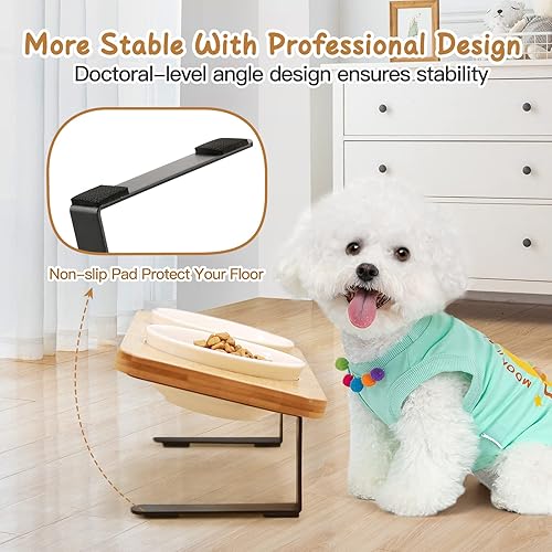 Miniatura 5 de Cuencos elevados de cerámica para gatos, cuencos elevados inclinados en 10 para comida y agua, platos para gatos de interior con soporte de bambú,