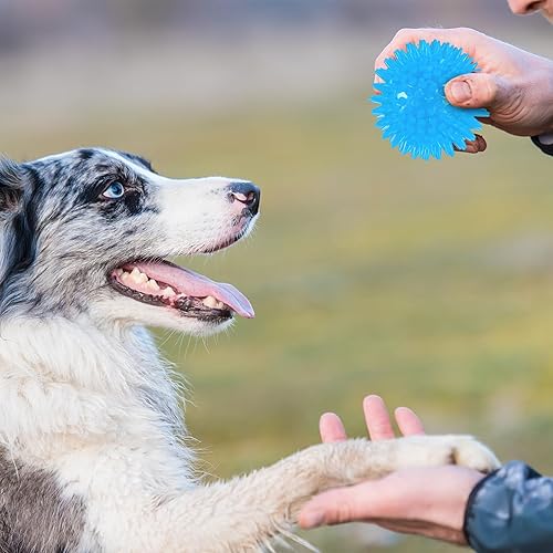 Miniatura 5 de Paquete de 16 bolas chirriantes para perros de 2.5 pulgadas para perros masticadores agresivos, juguetes para dentición, bolas de goma TPR para