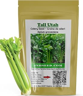 Celery Seeds for Planting: Tall Utah 800 Seeds Non Hybrid Open Pollinated (2 Gram)
