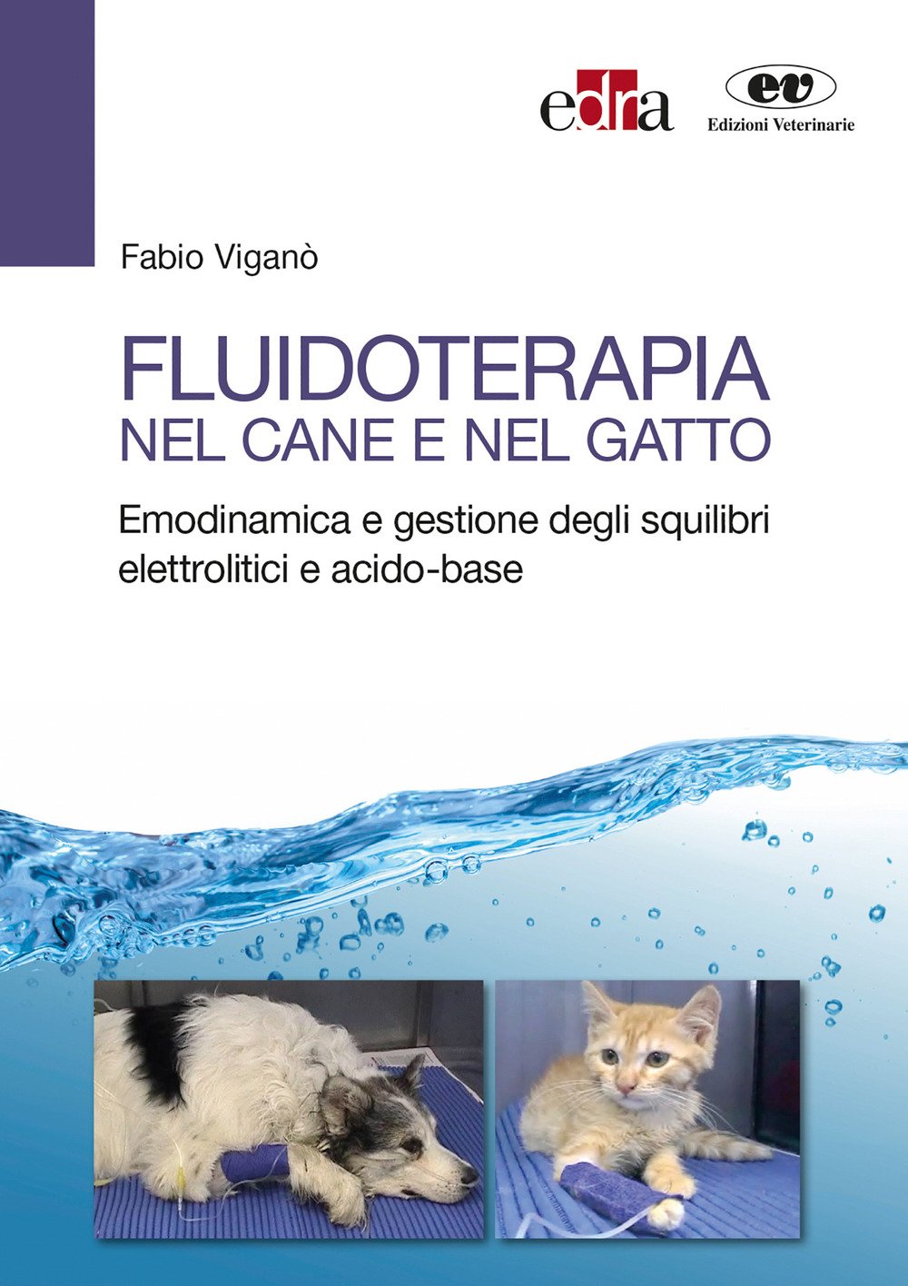 Fluidoterapia Nel Cane E Nel Gatto. Emodinamica E Gestione Degli Squilibri Elettrolitici E Acido-Base - 4