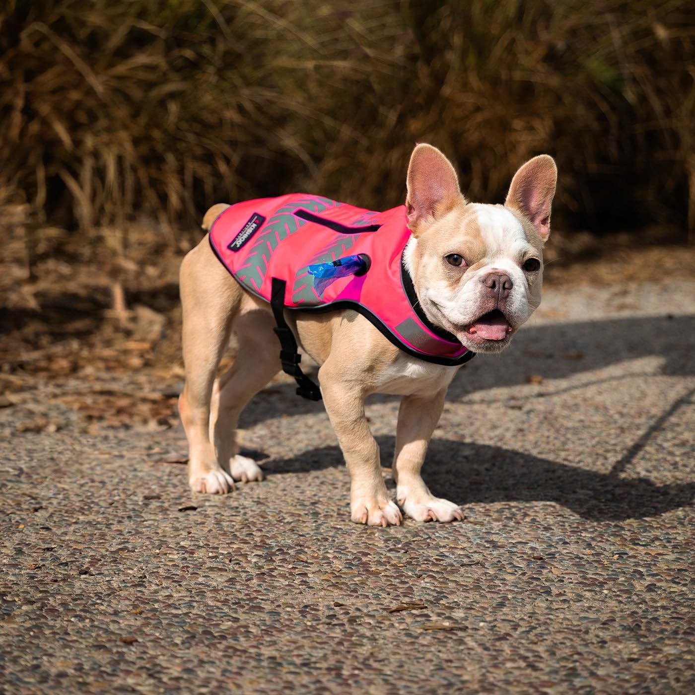 Reflective Dog Safety Vest, Harness and Collar Compatible, Waste Bag Holder, Water Resistant, Adjustable Neck and Chest, Day or Night Walking, High-Visibility Protection (Pink, L)