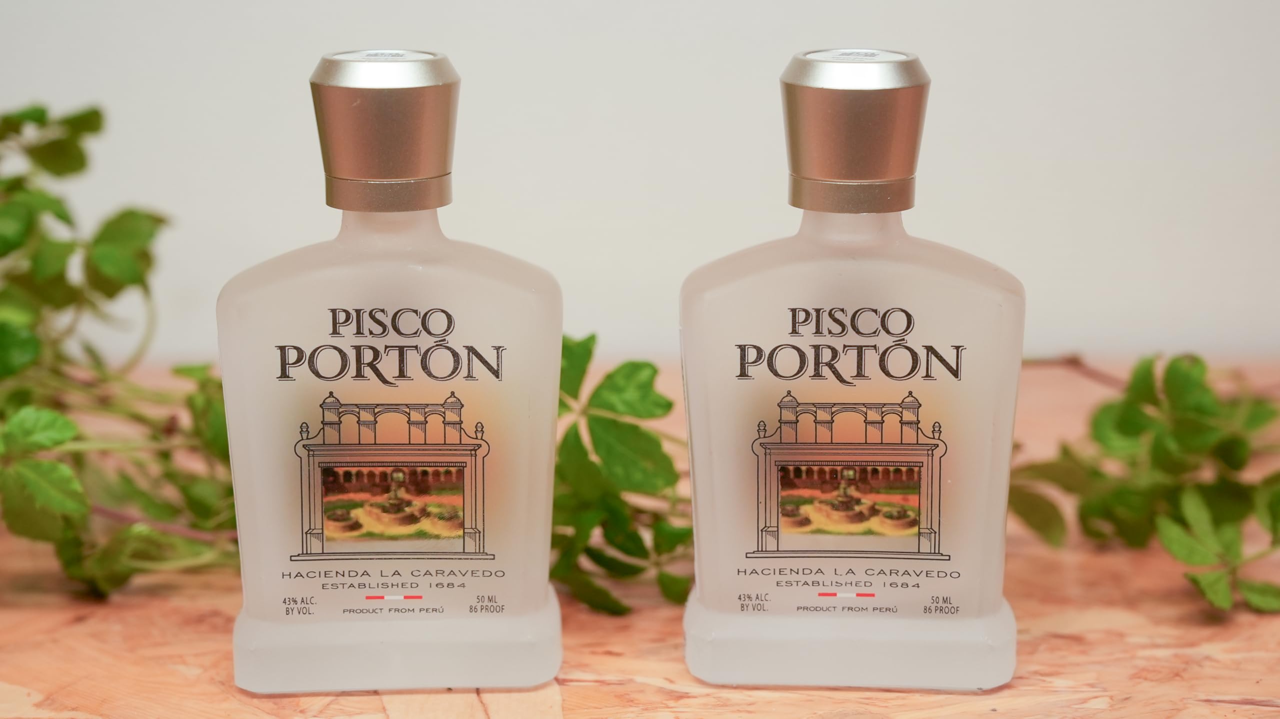 ピスコPisco Porton 2本セット Amazon.co.jp: 【正規品】ピスコ ポルトン ギフトセット イージー