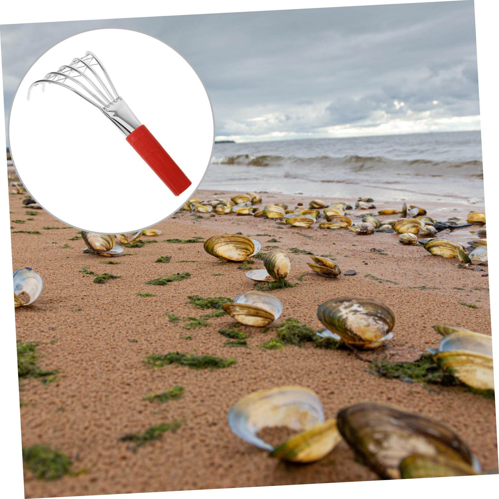 TOYANDONA 3 Stück Klobige Muschelrechen für Ergonomisches Design mit Zähnen Werkzeug zum Muschelsuchen Am Strand Leicht und für Kleine Hände