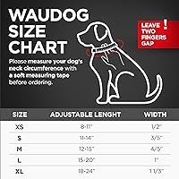 Vista 6 de WAUDOG Collar de cuero de larga duración para perros grandes, medianos y pequeños – Collares clásicos ajustables para cachorros de raza grande