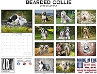 Vista 309 de Razas de Perros 2017