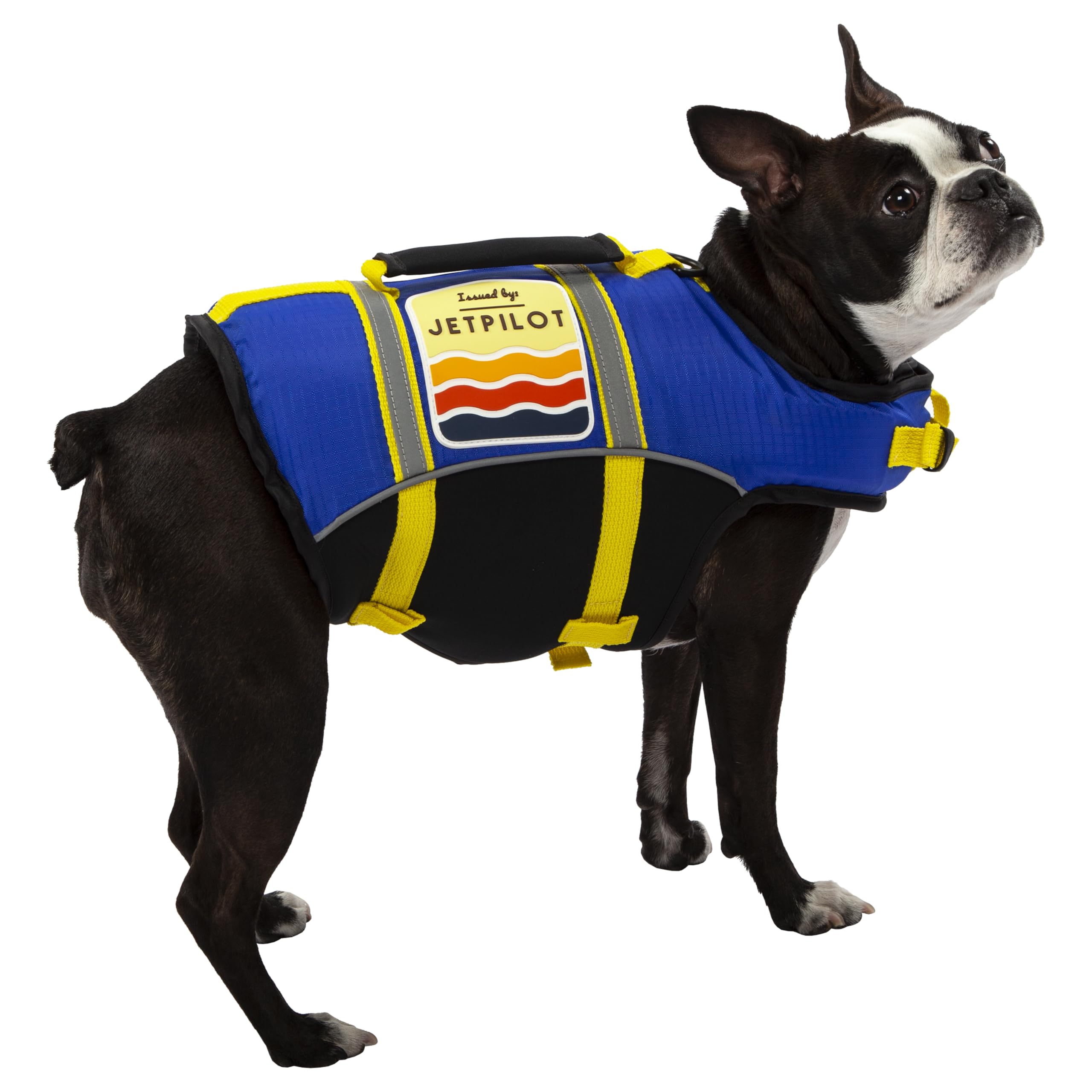 Jetpilot Dog Life Vest PFD (Blue, X-Large)